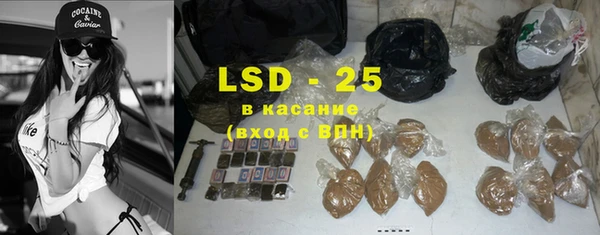 крисы Алзамай