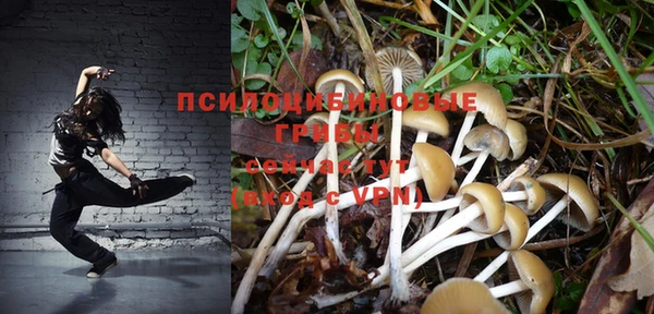 прущие крисы Алексин