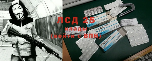 крисы Алзамай