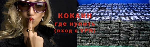 крисы Алзамай